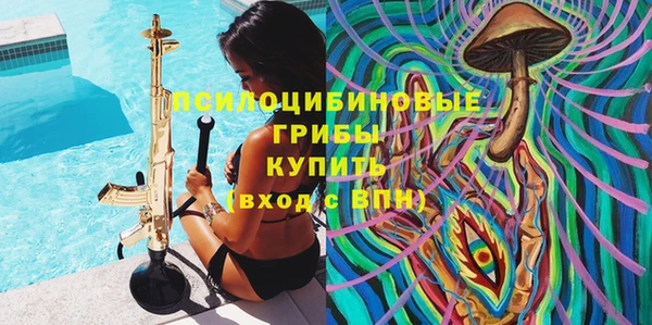 эйфоретик Сатка